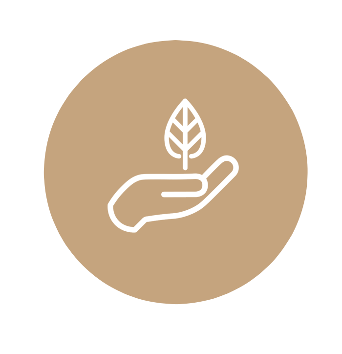 clt-mass-timber-Sustainability-and-environmental-protection